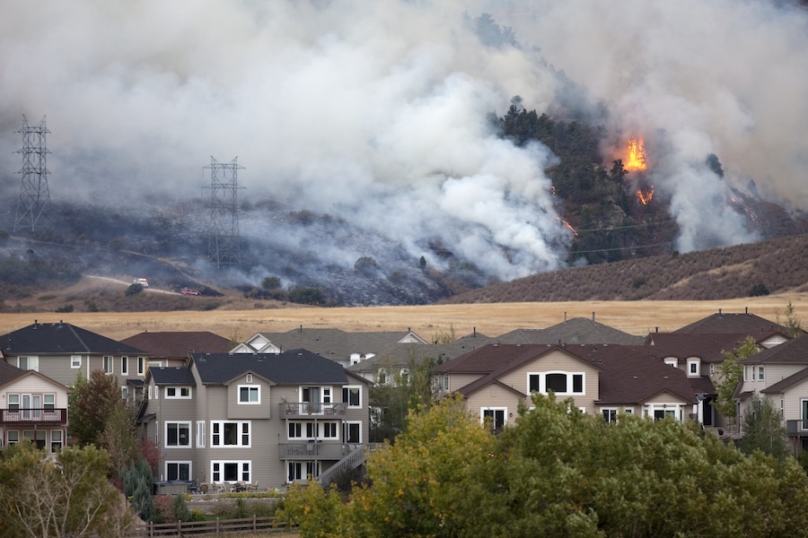 Defensive Landscaping for Canyon-Adjacent Homes Before Brush Fire Season